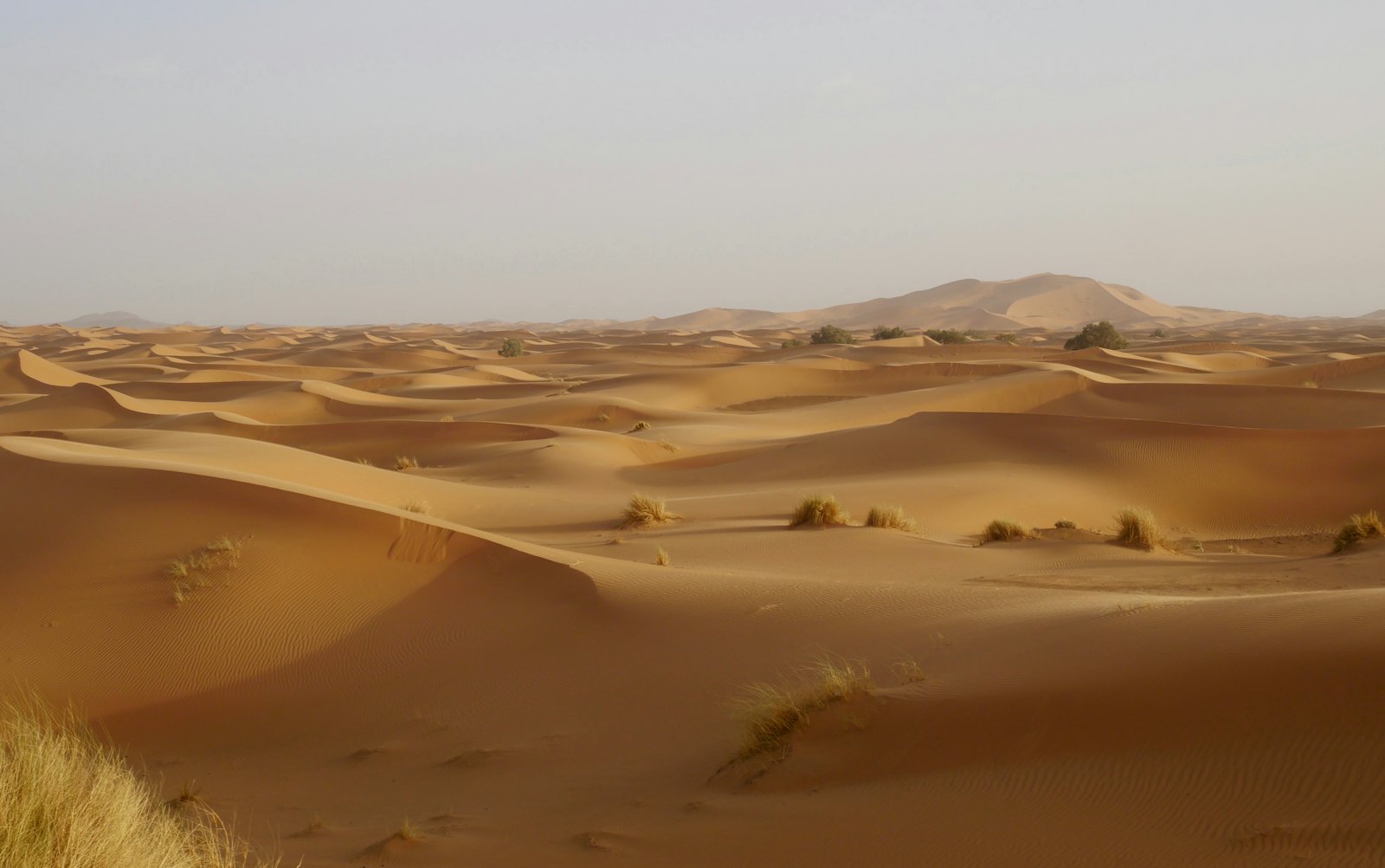 Merzouga ou Agadir : quel voyage enduro au Maroc est fait pour toi ?