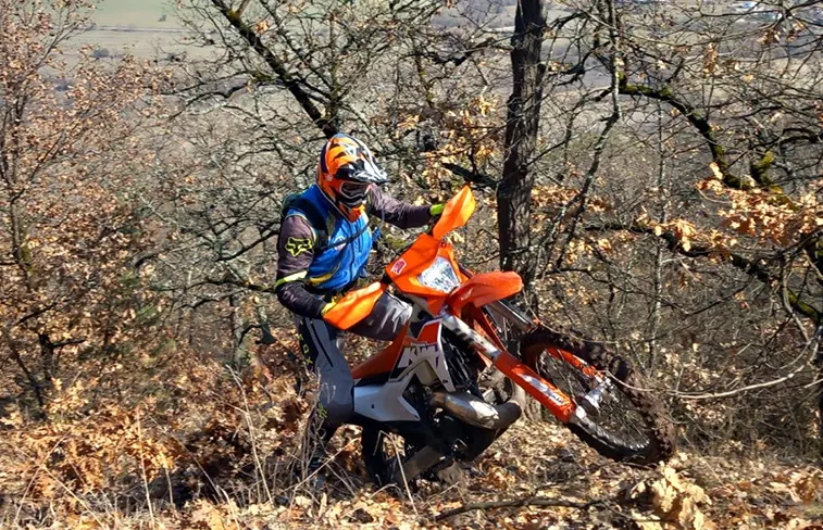 Roulage dans une forêt de chênes aux couleurs d'automne