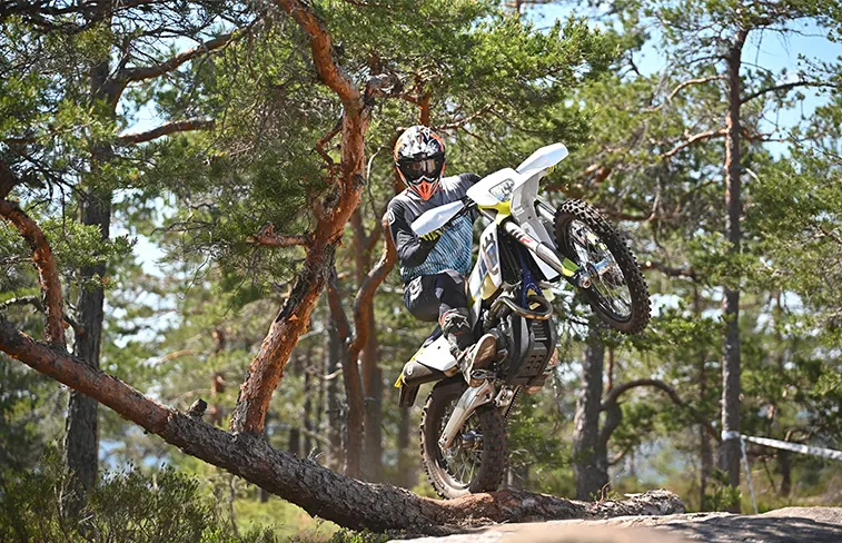 Franchissement par-dessus un tronc en forêt de pins