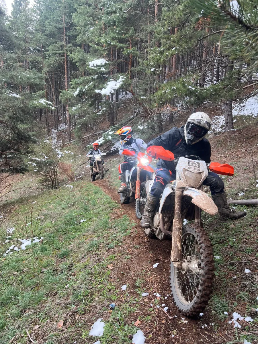 Roulage dans une forêt enneigée, début de saison