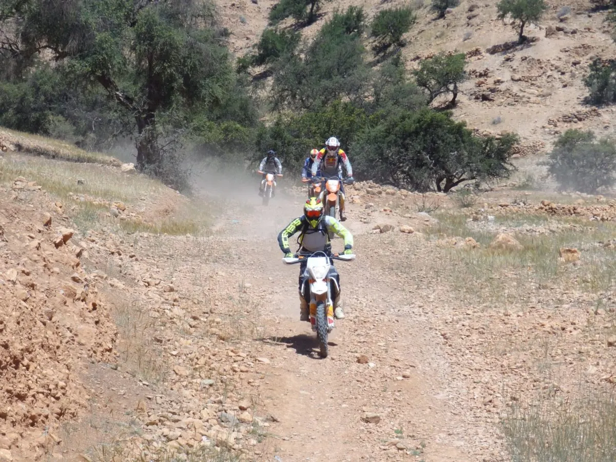 Groupe en file sur une piste rocheuse parmi les arganiers