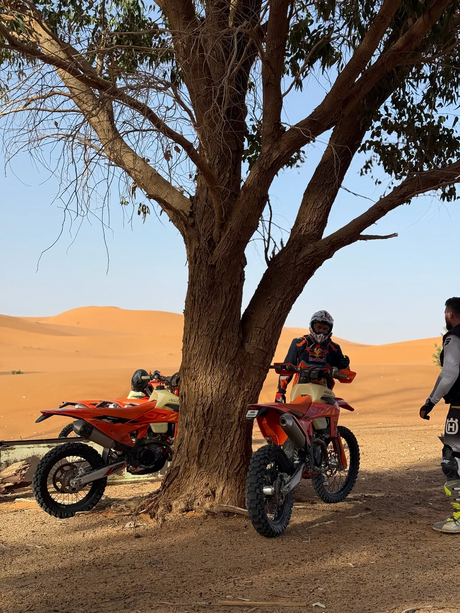 Pause à l'ombre d'un acacia au milieu des dunes