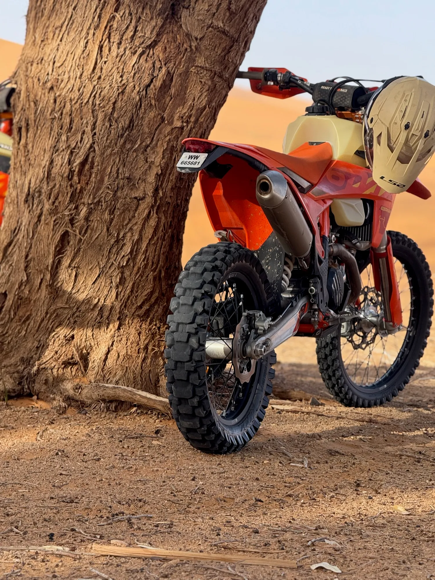 Arrière d'une KTM appuyée contre un acacia, dune orange
