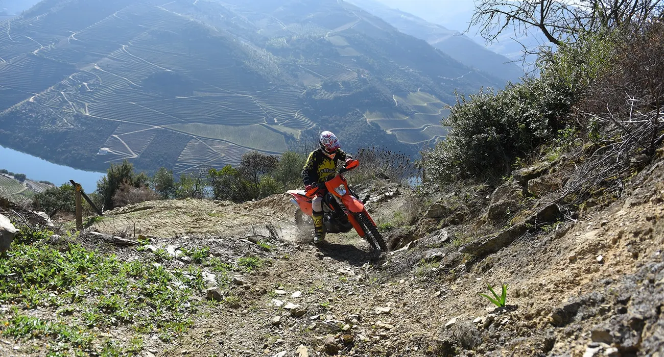 Descente rocheuse au-dessus des terrasses viticoles du Douro